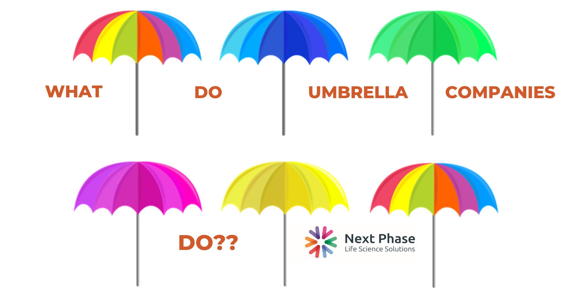 Next Phase - What do Umbrella Companies do? 