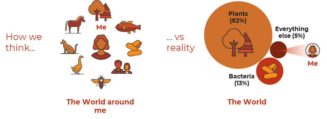 How we think vs reality graphic
