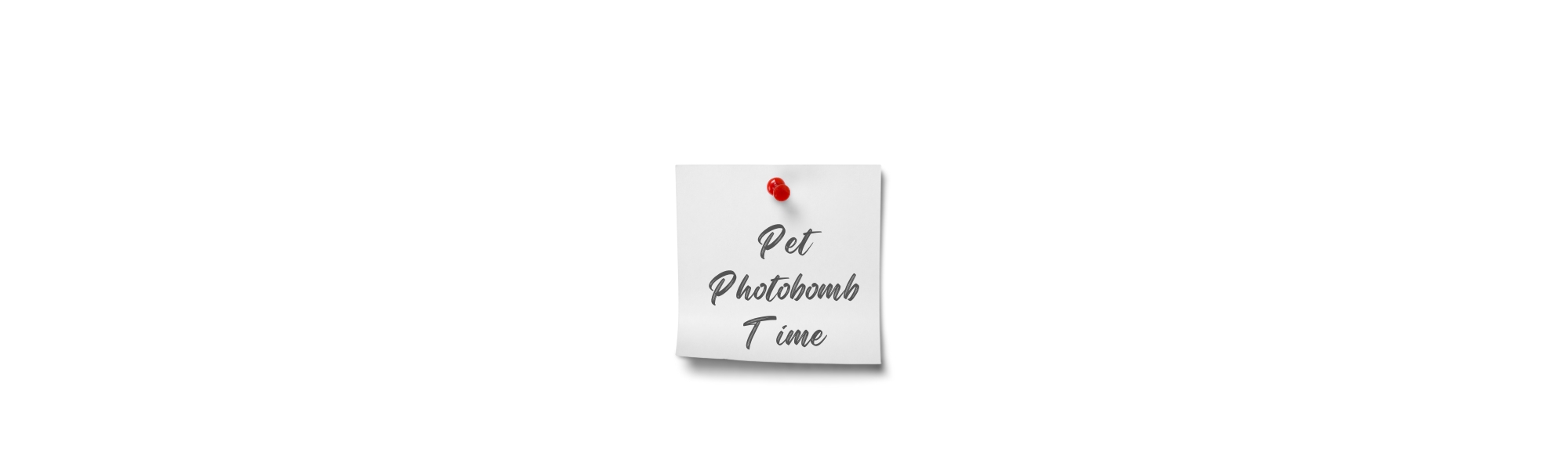 Pet Photobomb Time