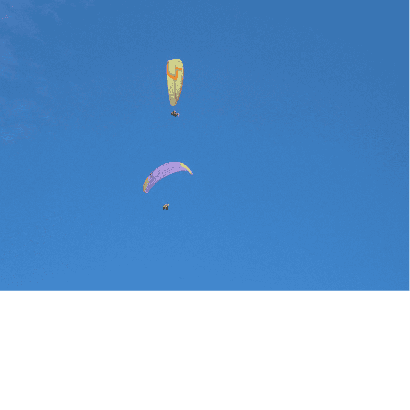 Image 2025 05 22 T10 21 44