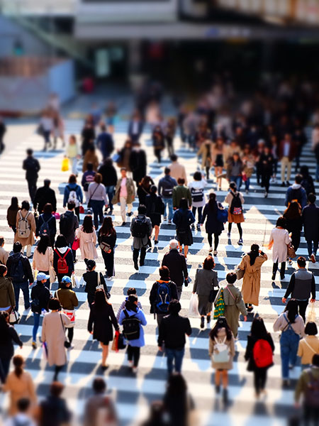 Research, Insight & Data