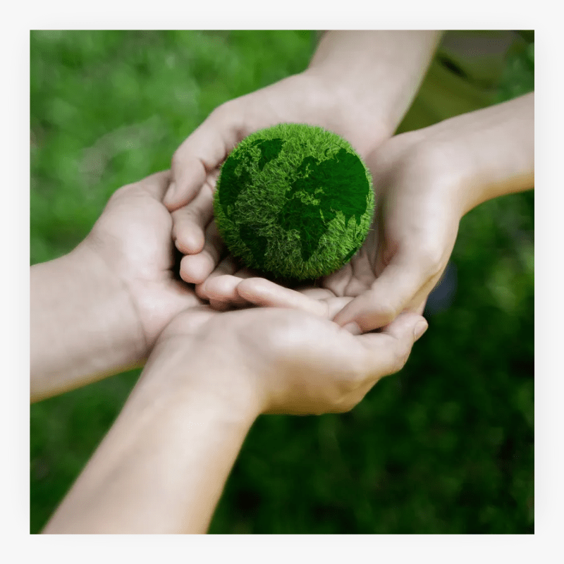 Two hands gently holding the planet Earth, symbolising care, protection, and sustainability. Conceptual image representing environmental conservation, global responsibility, and eco-friendly initiatives.