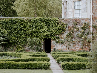 A garden with bushes growing on the wall  AI-generated content may be incorrect.