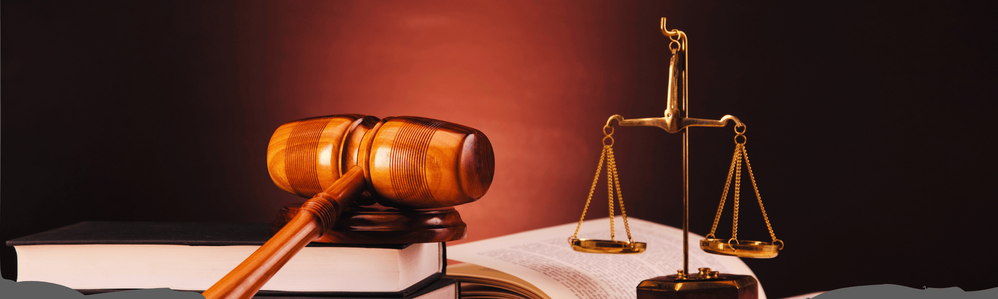 Collins McNicholas Annual Employment Law Event