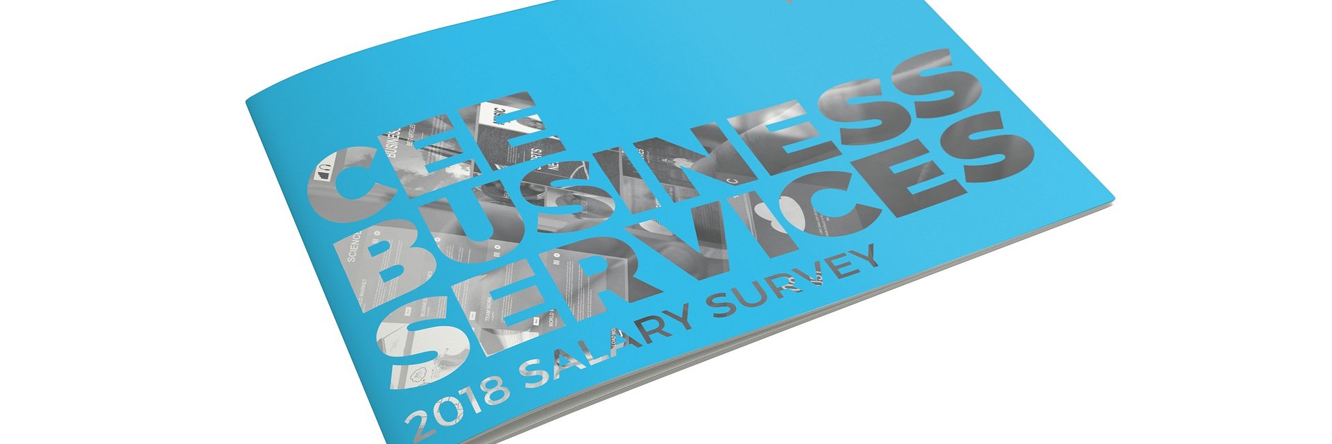 CEE Business Services 2018 Salary Survey 