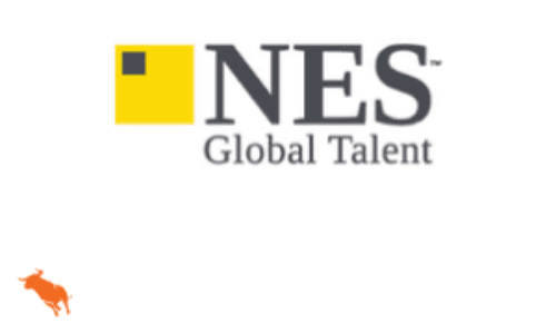 NES Global Talent Bullhorn Training