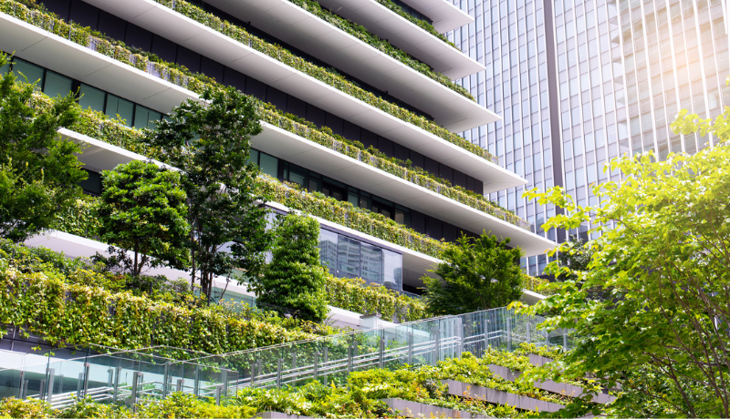 Urban Gardening Challenges: Overcoming the City's Hurdles