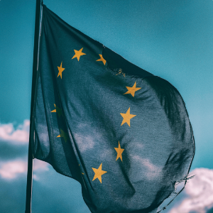 Image 2025 12 09 T07 31 16