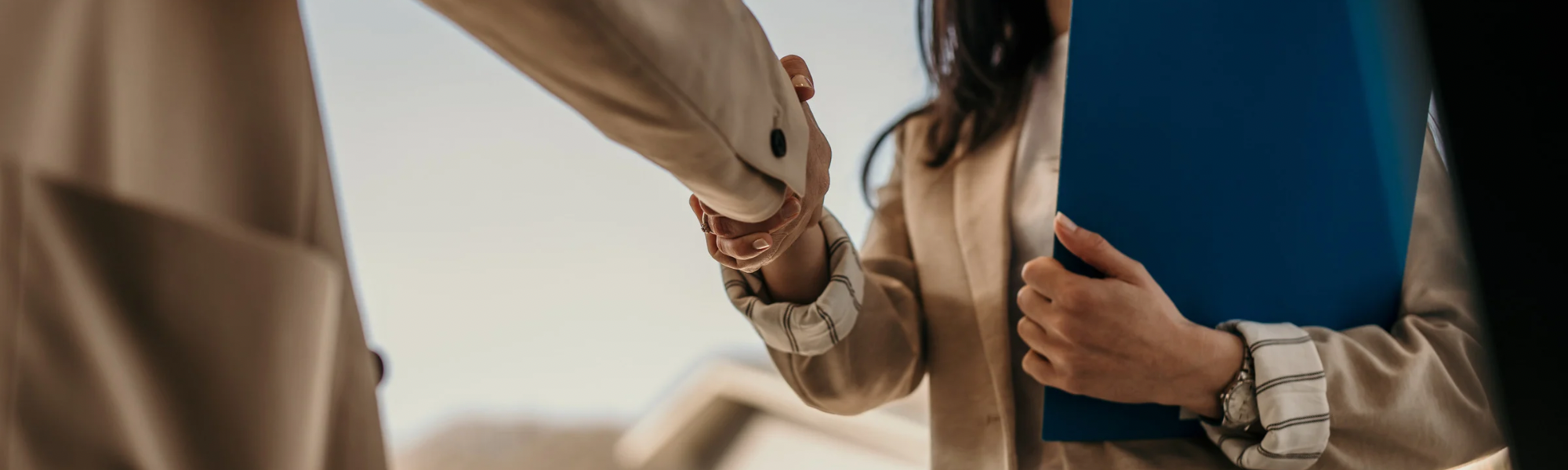 Website Blog Size   Cynth