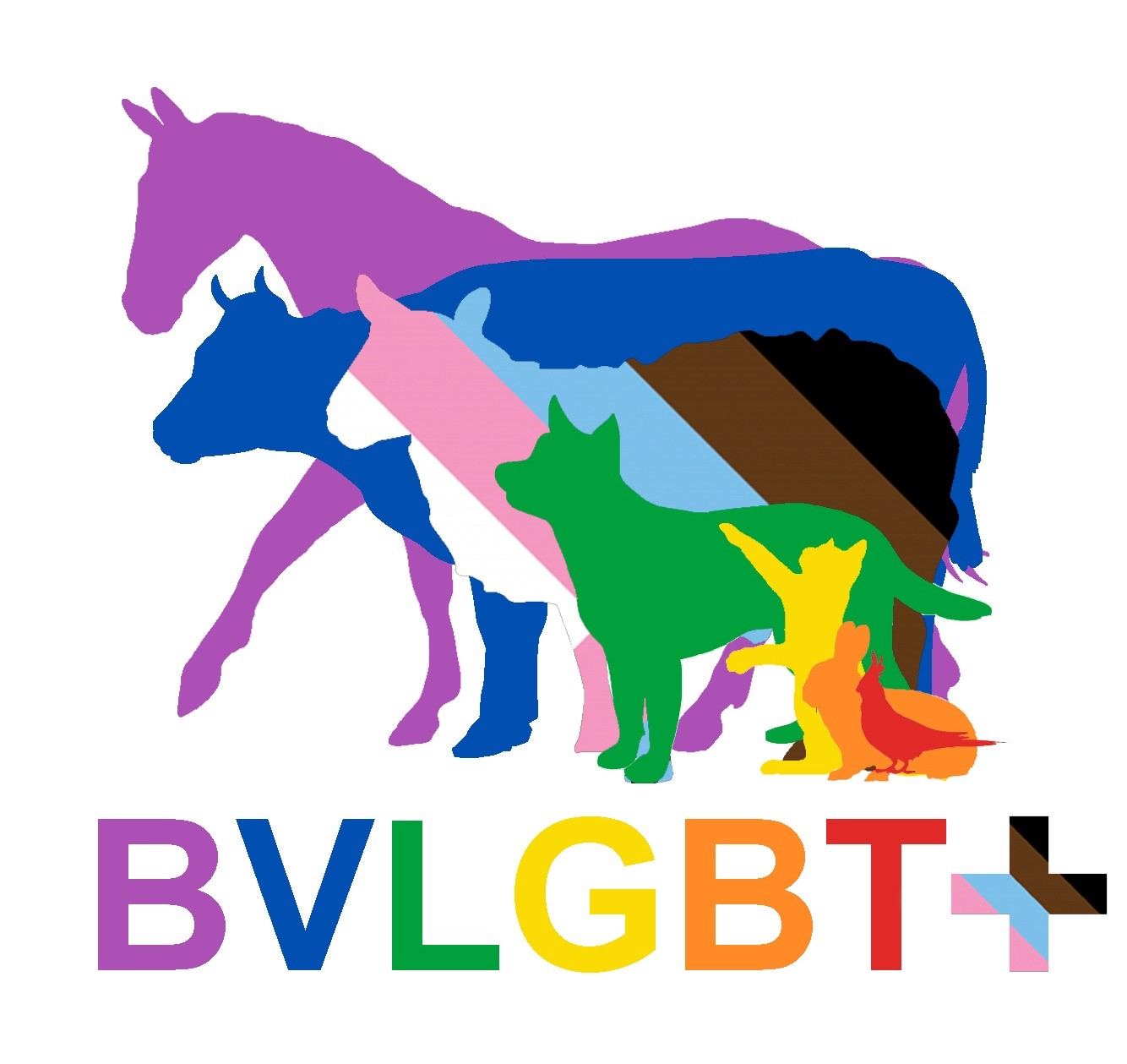 BVLGBT+ logo