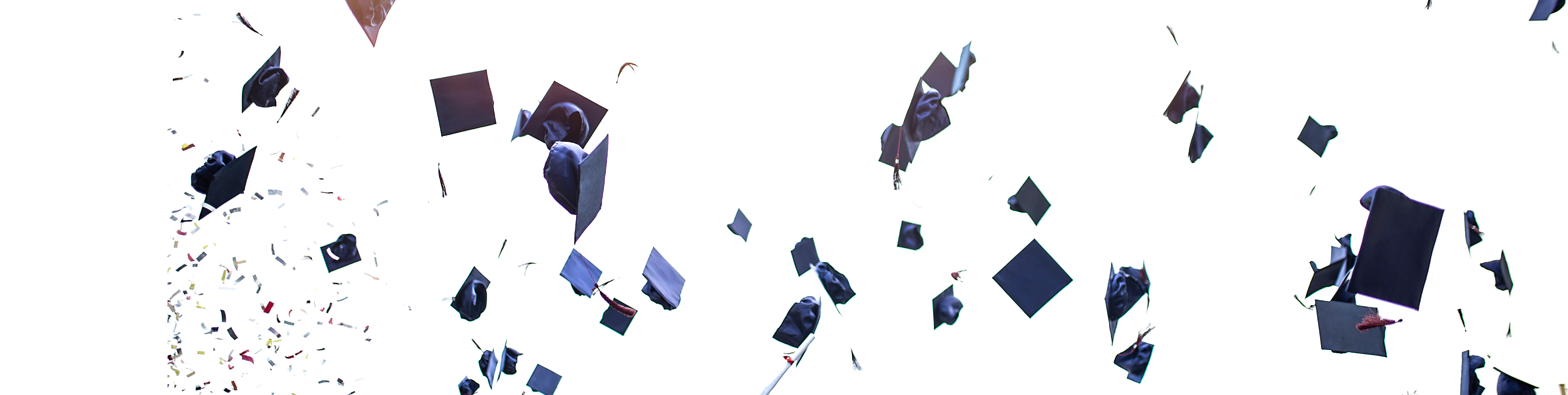 Graduates  2000 X 500