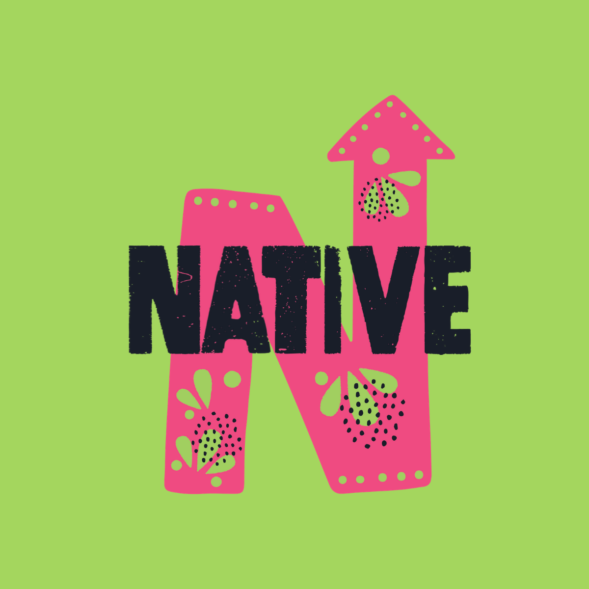 Native Snacks