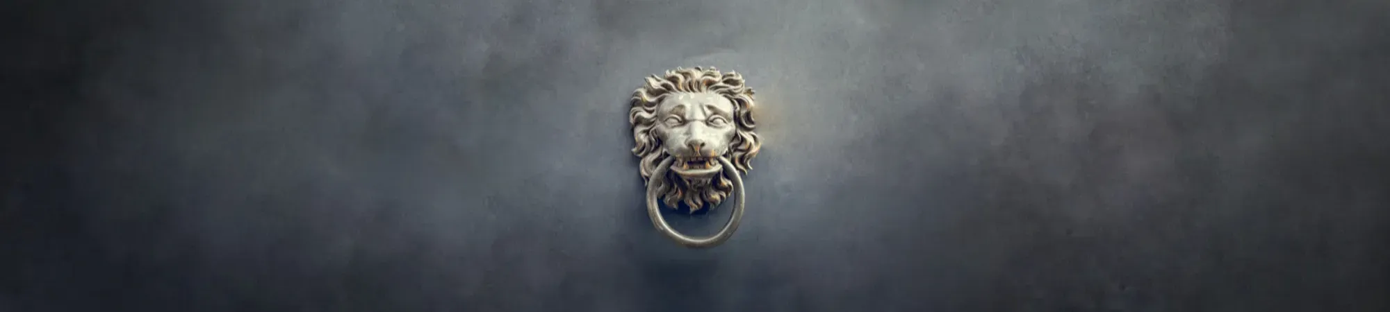 Bronze lion door knocker