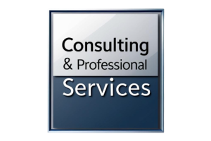 Consulting & Professional Services 