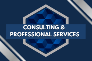 Consulting & Professional Services 