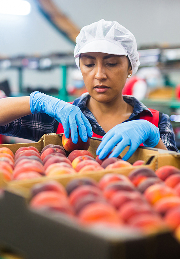 Food Production