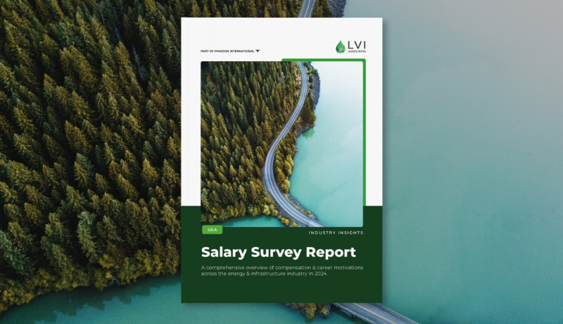 Usa Salary Survey   2024   Preview Image 800x460