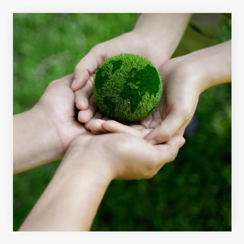 Two hands gently holding the planet Earth, symbolising care, protection, and sustainability. Conceptual image representing environmental conservation, global responsibility, and eco-friendly initiatives.