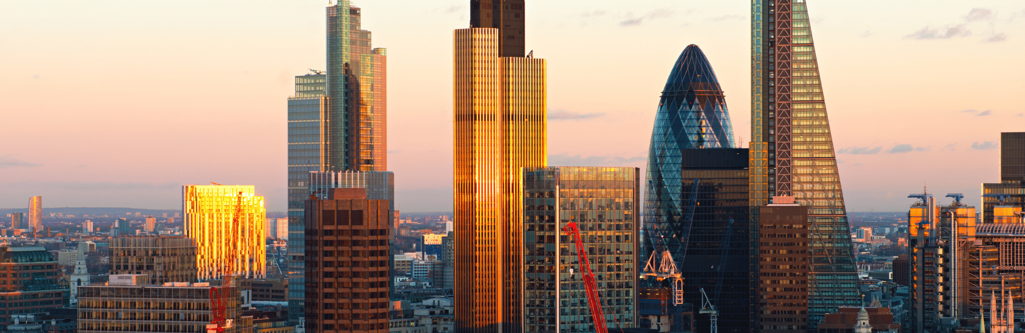 Senior Legal Finance & Accounting Recruitment Market Update Q1 2025