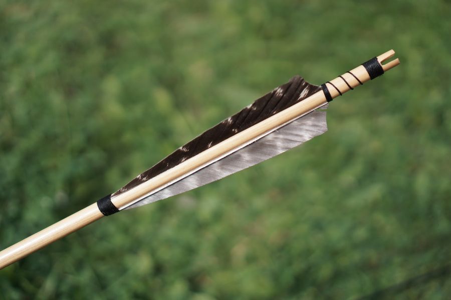 Arrow Feather Stock Selective Focus 163533