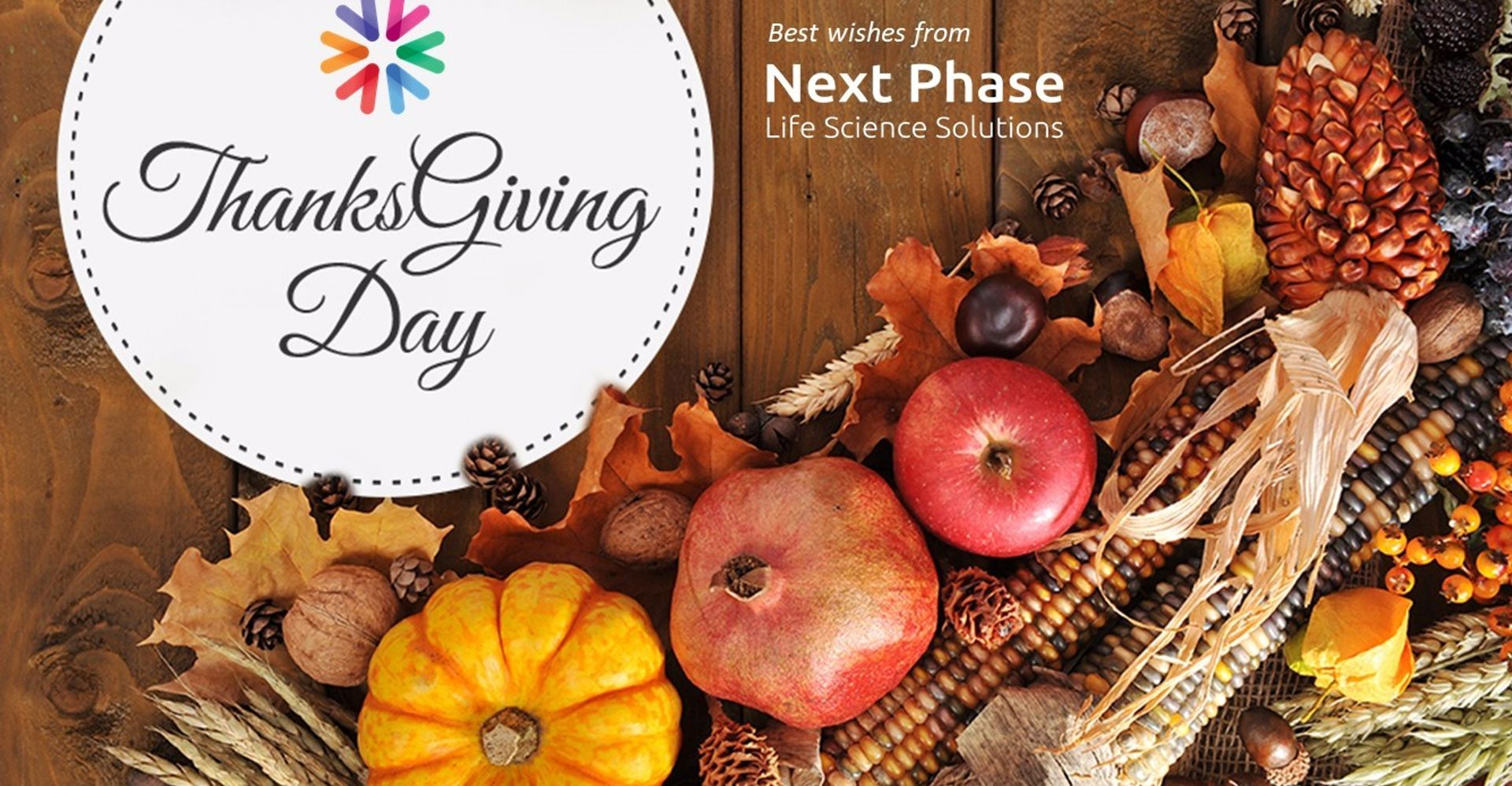 For us at Next Phase, our business is all about PEOPLE. It is about close collaboration, great communication, working through challenges, sharing helpful information, being available, and having fun in the process. This is the time of year for sharing what you’re thankful for.