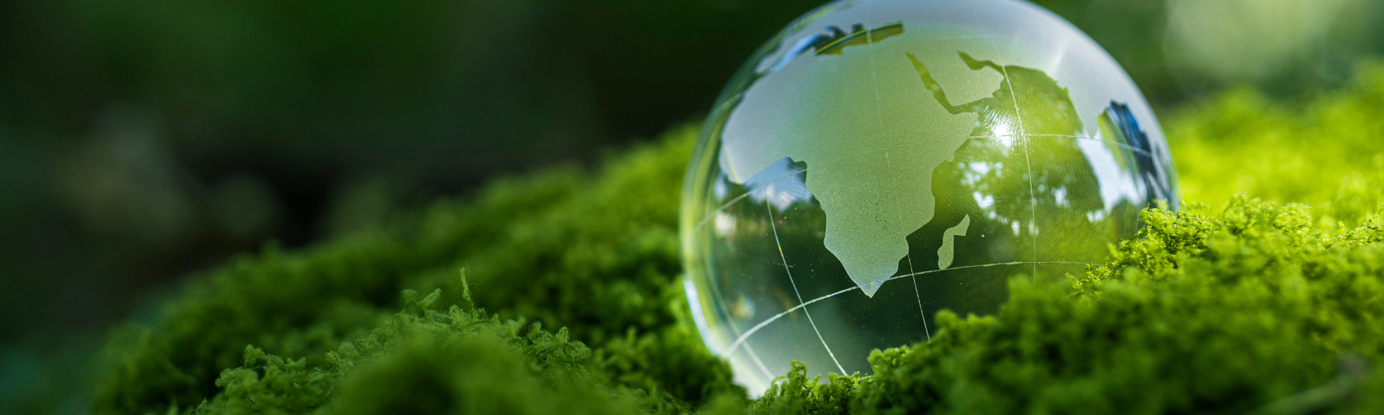 Alternative fuels are reshaping workforce requirements
