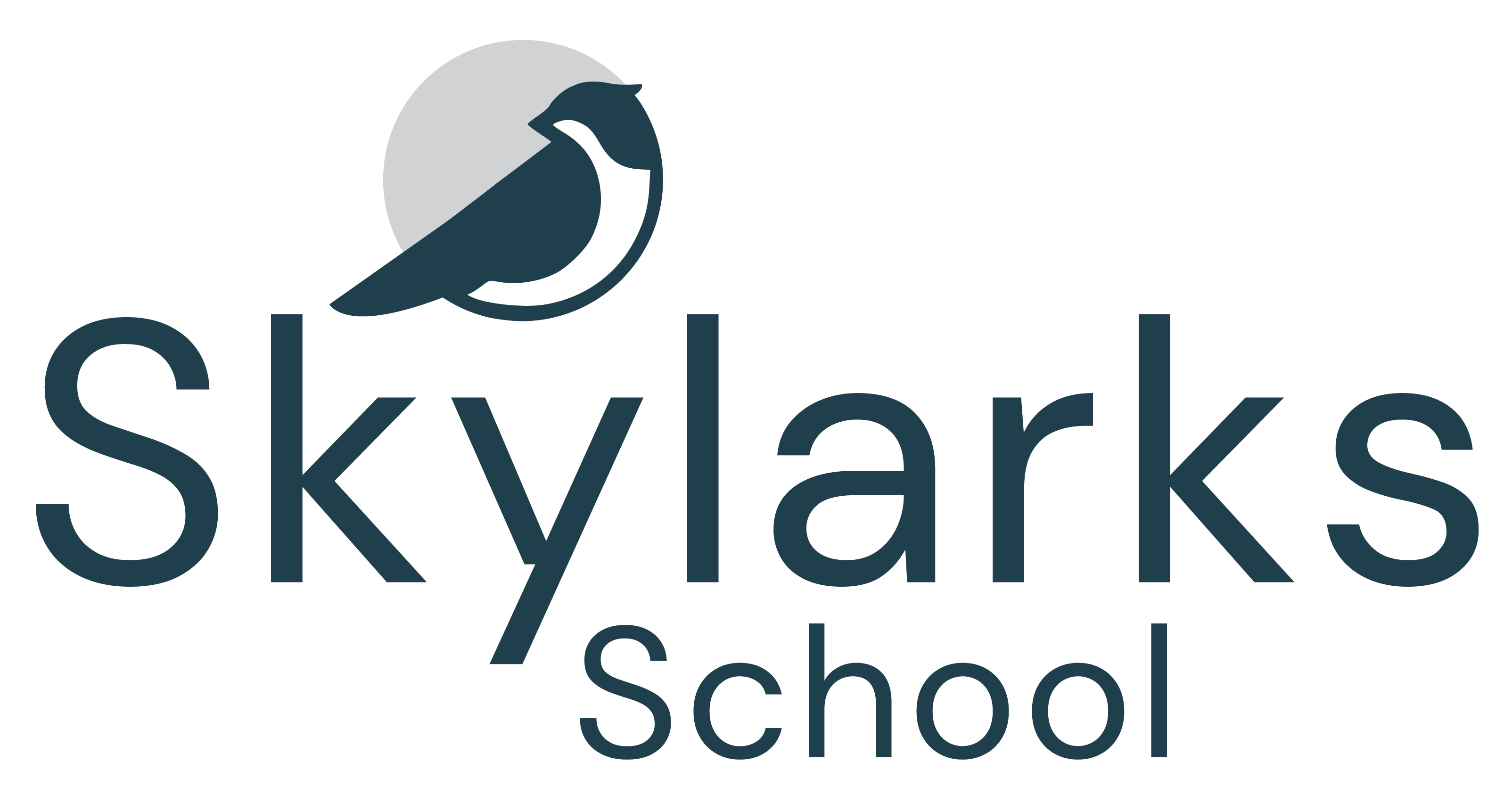 Go to branch: Skylarks School page