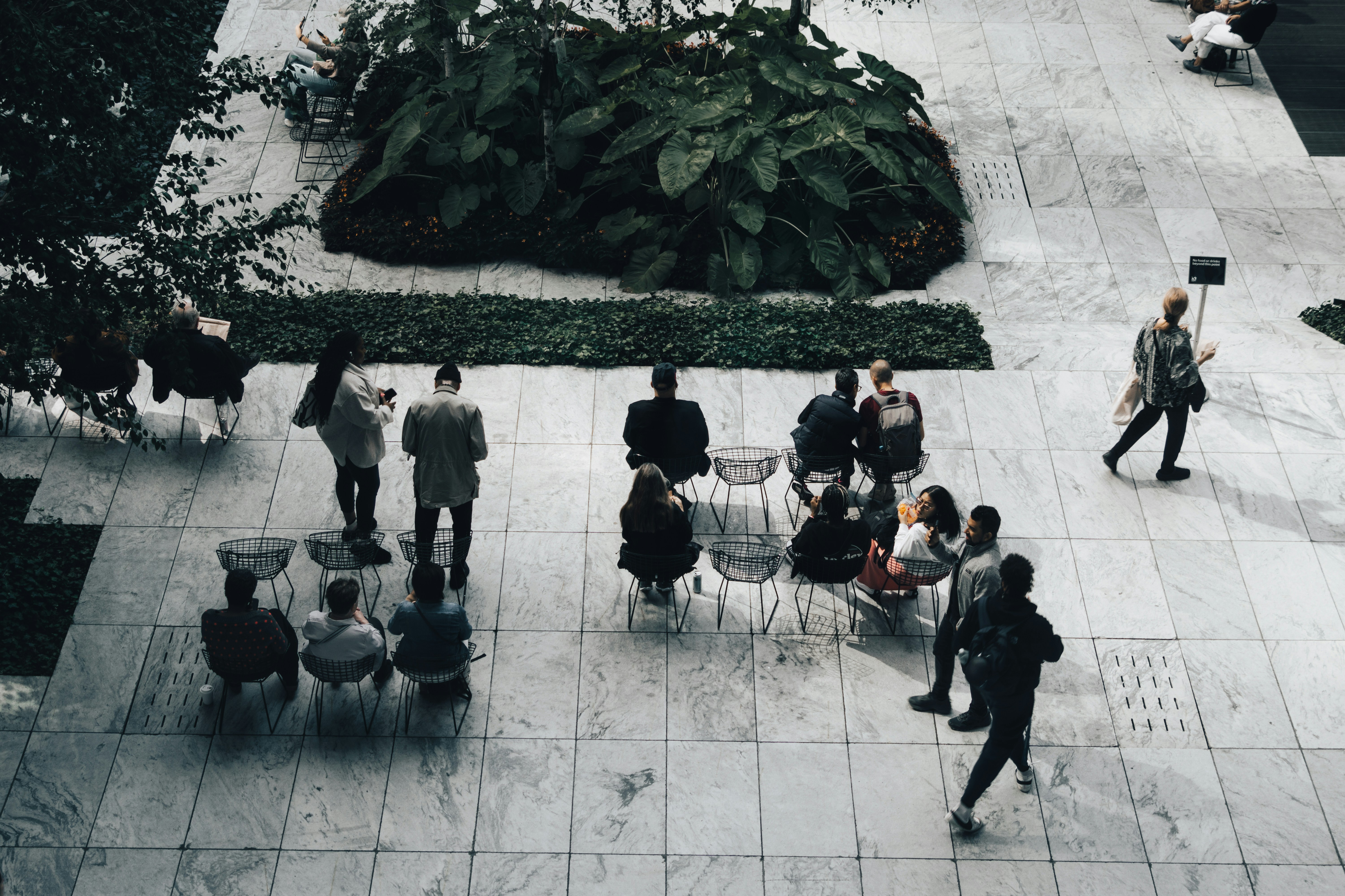 ​The Power of Transferable Skills in Purpose Driven Careers