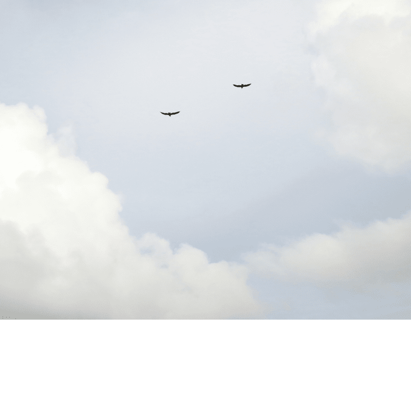 Banner Default Image