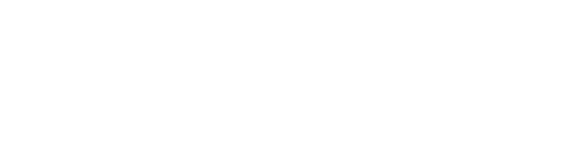 DSV