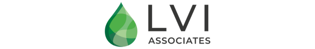 LVI Associates Logo