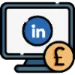 icon showing the logo for LinkedIn and a currency sign to show paid advertising
