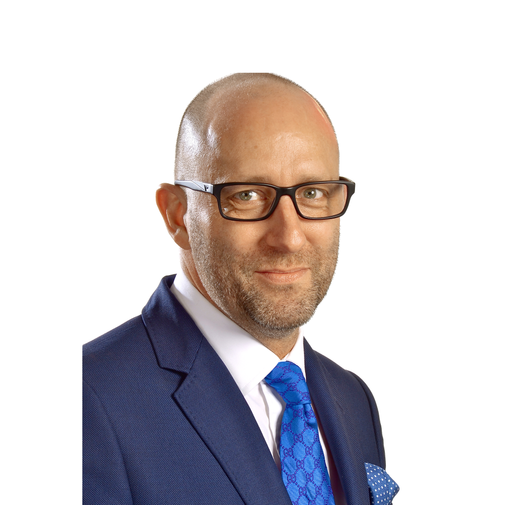 consultant