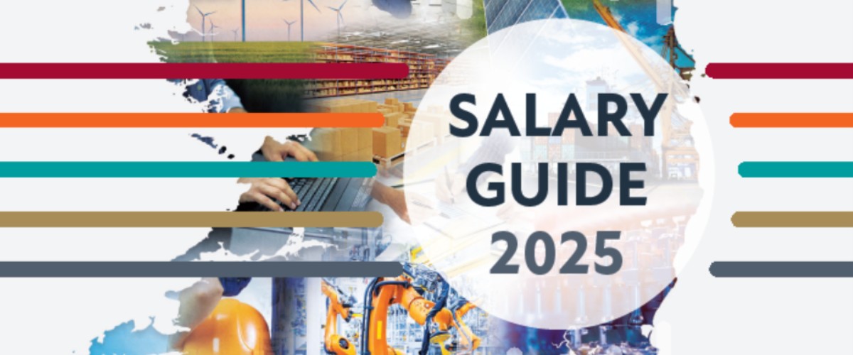 Salary Guide 2025 Article