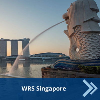Silhouette of Marina Bay Sands and Merlion, WRS Singapore